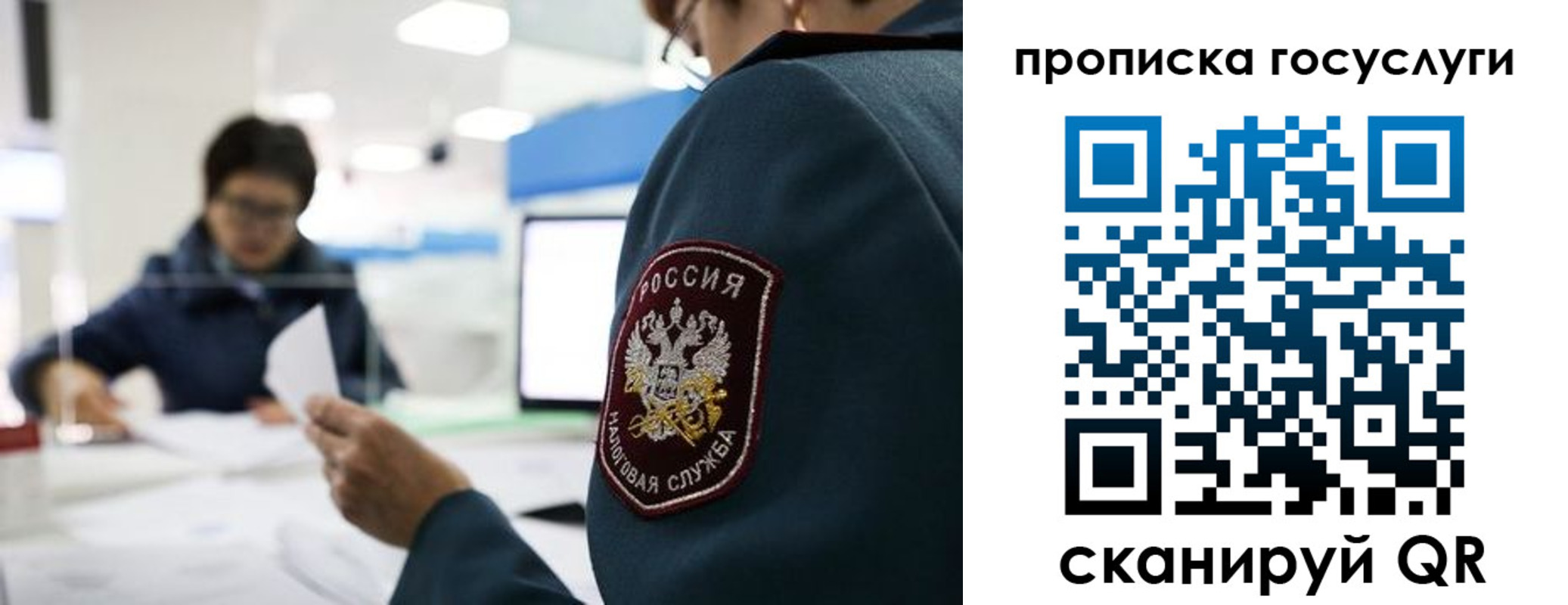 регистрация для школы в Вологодской области